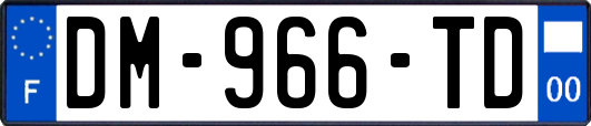 DM-966-TD