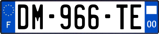 DM-966-TE