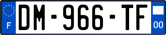 DM-966-TF
