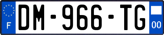 DM-966-TG
