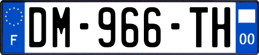 DM-966-TH