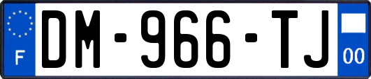 DM-966-TJ