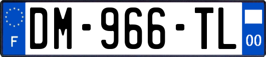 DM-966-TL