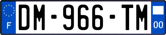 DM-966-TM
