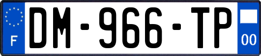 DM-966-TP