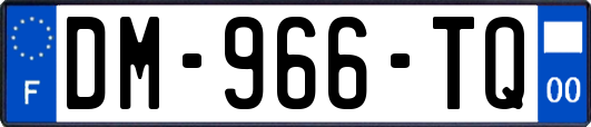 DM-966-TQ