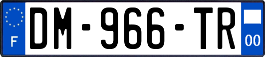 DM-966-TR