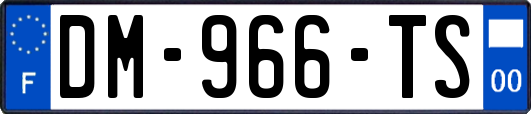 DM-966-TS