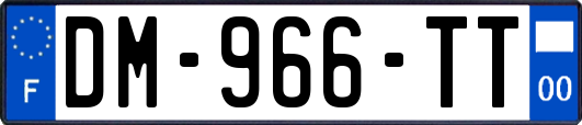 DM-966-TT
