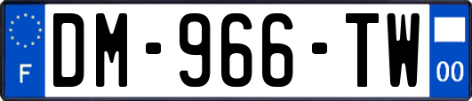 DM-966-TW