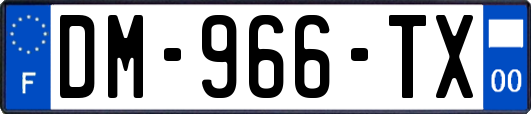 DM-966-TX