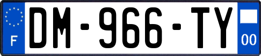 DM-966-TY