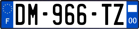 DM-966-TZ