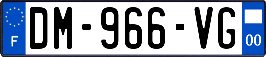 DM-966-VG