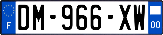 DM-966-XW