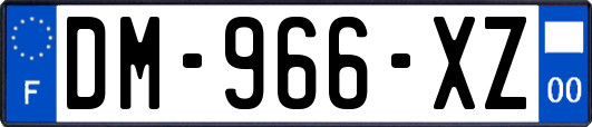 DM-966-XZ