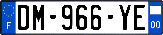 DM-966-YE