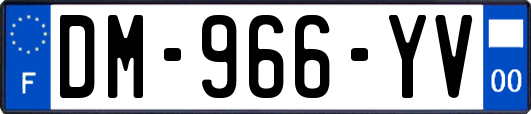 DM-966-YV