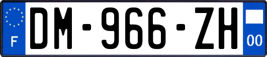 DM-966-ZH