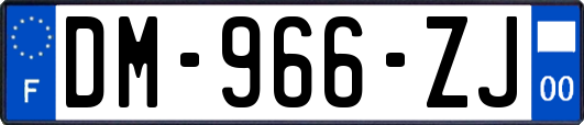 DM-966-ZJ