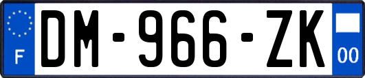 DM-966-ZK