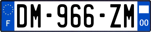 DM-966-ZM