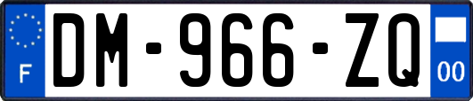 DM-966-ZQ