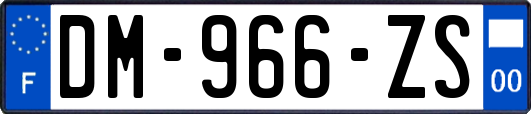 DM-966-ZS