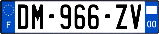 DM-966-ZV