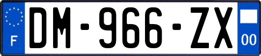 DM-966-ZX