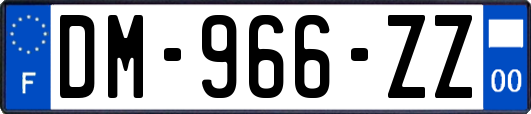 DM-966-ZZ