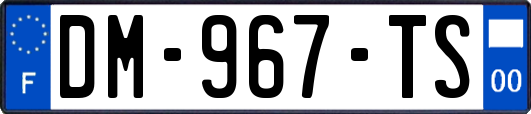 DM-967-TS