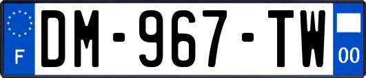 DM-967-TW