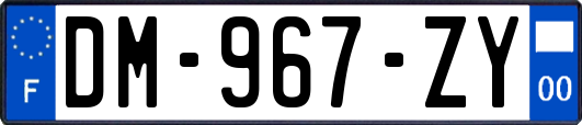 DM-967-ZY