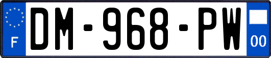 DM-968-PW