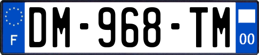 DM-968-TM