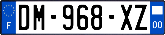 DM-968-XZ