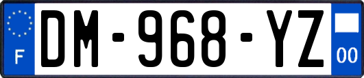 DM-968-YZ