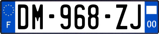 DM-968-ZJ