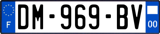 DM-969-BV