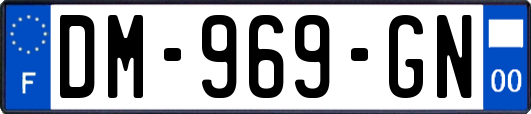 DM-969-GN