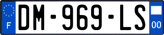 DM-969-LS