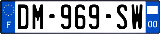 DM-969-SW
