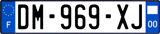 DM-969-XJ