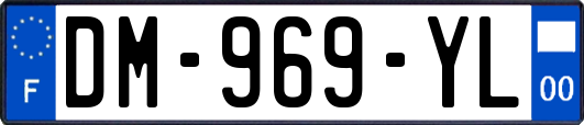 DM-969-YL