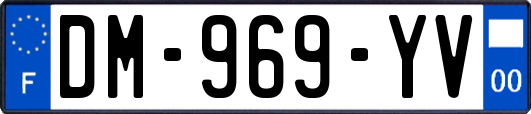 DM-969-YV