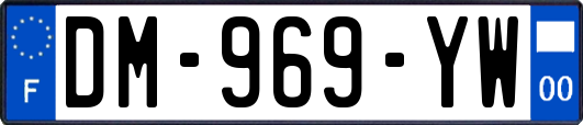 DM-969-YW