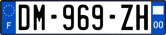 DM-969-ZH