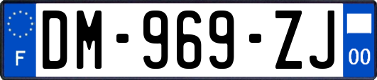 DM-969-ZJ