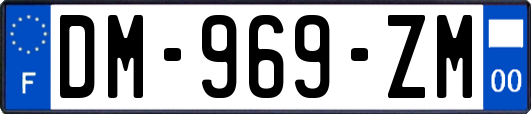 DM-969-ZM